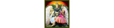 நங்கநல்லூர்